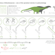 Image for article titled Brontosaurus Should Be Reinstated As A Distinct Dinosaur, Say Scientists